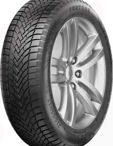 Fortune 245/45 R19 NIVALIS WINTER PRO 102V XL
